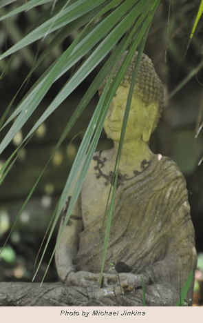 TOL-111015cap Buddha