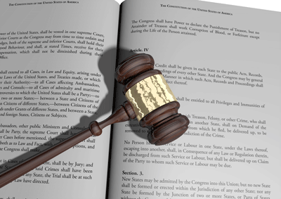 TOLImage-070417 Constitution
