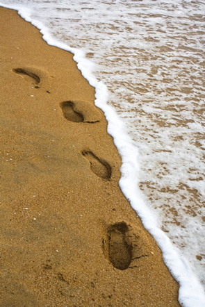 TOLImage042815 Zen Calvinism