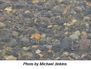 TOLImage101315 Transparency